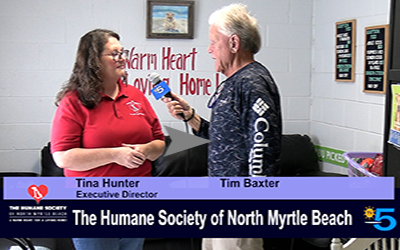 Tina Hunter NMB Humane Society